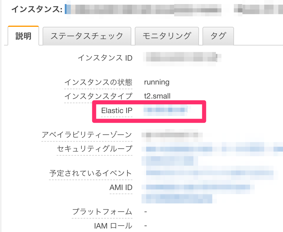 Elastic IP Address